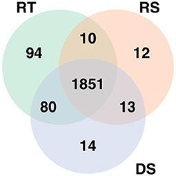 Host transcriptome and microbiome interactions in Holstein cattle under heat stress condition